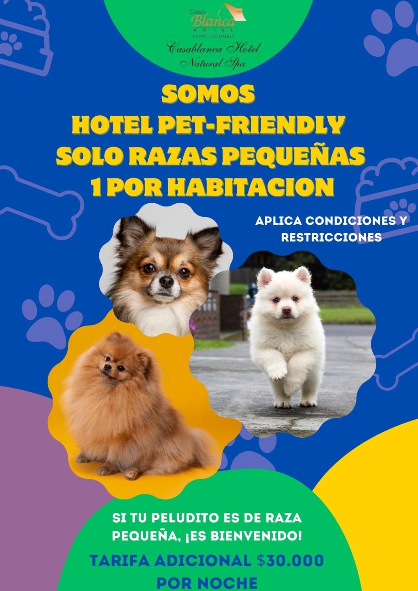 Hotel Casablanca Natural Spa Paipa Eksteriør billede